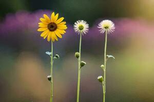 three sunflowers standing in front of a field. AI-Generated photo