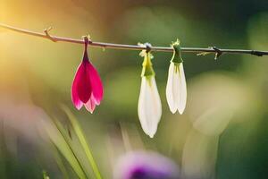 three snowdrops hanging from a branch. AI-Generated photo