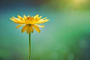 a single yellow flower in front of a green background. AI-Generated photo