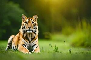 a tiger is sitting in the grass with the sun in the background. AI-Generated photo