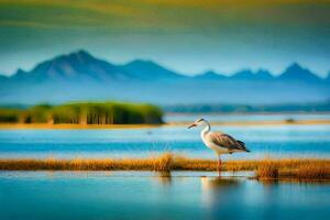 el Gaviota es en pie en el apuntalar de el lago. generado por ai foto