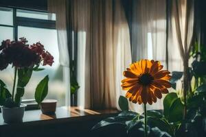 orange flower in front of window. AI-Generated photo