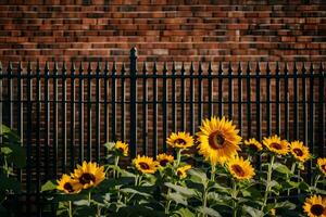 sunflowers in front of a black fence. AI-Generated photo