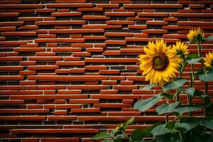 sunflower against brick wall. AI-Generated photo