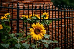 sunflowers in front of a brick fence. AI-Generated photo