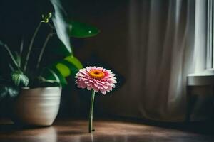 a single pink flower sits on a table in front of a window. AI-Generated photo