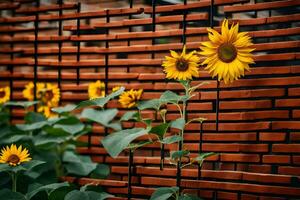 sunflowers growing in front of a brick wall. AI-Generated photo