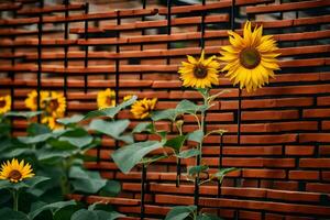 girasoles creciente en frente de un ladrillo pared. generado por ai foto