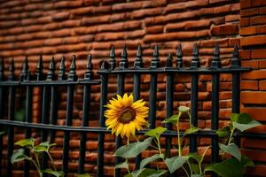 a sunflower is in front of a fence. AI-Generated photo