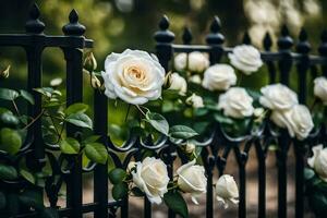 white roses on a black wrought fence. AI-Generated photo