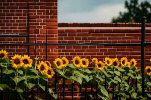 sunflowers are growing in front of a brick wall. AI-Generated photo