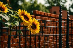 sunflowers on a brick fence. AI-Generated photo