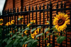 sunflower on fence. AI-Generated photo