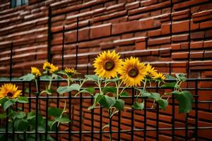 sunflowers growing on a fence in front of a brick wall. AI-Generated photo