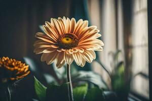 a flower is sitting in front of a window. AI-Generated photo