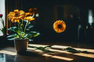 sunlight shining on a vase of flowers. AI-Generated photo