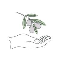 Olive branch in hand drawn in one continuous line in color. One line drawing, minimalism. Vector illustration.