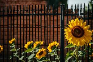 a group of sunflowers are in front of a fence. AI-Generated photo