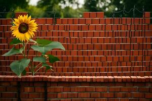 un girasol es creciente en un ladrillo pared. generado por ai foto