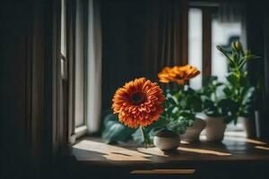 orange flowers on a windowsill. AI-Generated photo
