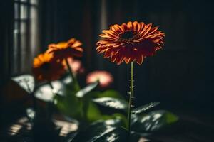 orange flowers in the sun on a dark background. AI-Generated photo