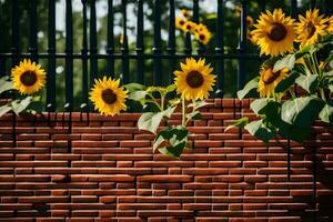 girasoles creciente en un ladrillo pared. generado por ai foto