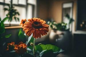 orange flower in a vase in front of a window. AI-Generated photo