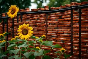 sunflowers are growing in a brick wall. AI-Generated photo