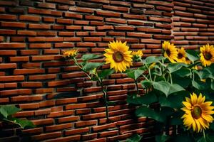 sunflowers growing on a brick wall. AI-Generated photo