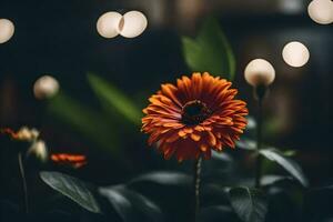 a flower is in front of a dark background. AI-Generated photo