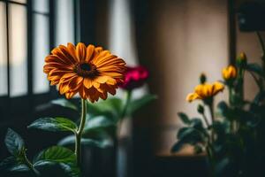 orange flower in front of a window. AI-Generated photo