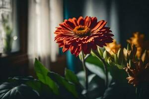 a red flower is in front of a window. AI-Generated photo