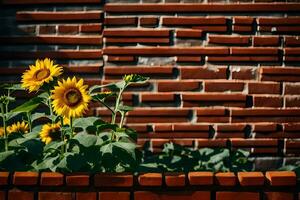 sunflowers in front of a brick wall. AI-Generated photo