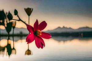 a flower is reflected in the water at sunset. AI-Generated photo