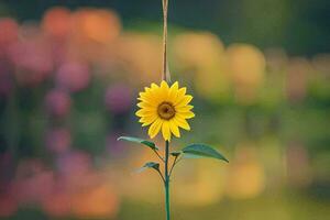 a single sunflower is hanging from a string. AI-Generated photo