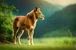 un caballo en pie en el césped en un ladera. generado por ai foto