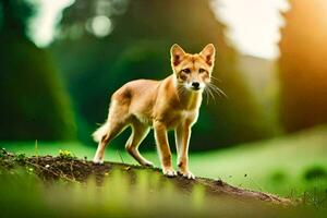 a dog is standing on a hill in the grass. AI-Generated photo