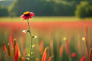 a red flower stands in the middle of a field. AI-Generated photo