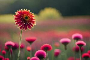 a single flower stands out in a field of pink and red flowers. AI-Generated photo