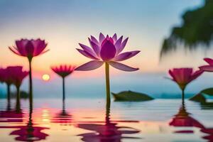 lotus flowers in the water at sunset. AI-Generated photo