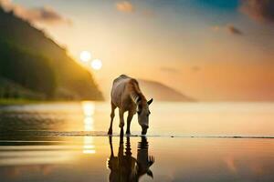 a horse is drinking water at sunset. AI-Generated photo