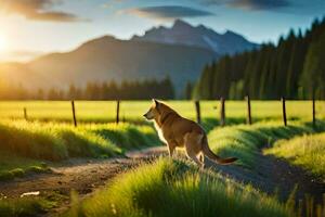 un perro en el montañas. generado por ai foto