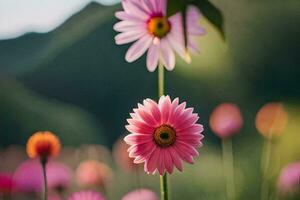 pink flowers in a field with mountains in the background. AI-Generated photo