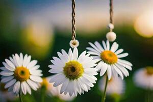 daisies hanging from a string in a field. AI-Generated photo