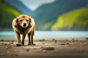 a dog walking on the beach near a lake. AI-Generated photo