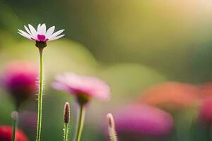 a field of pink flowers with a sun in the background. AI-Generated photo