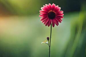 a single pink flower is standing in front of a green background. AI-Generated photo