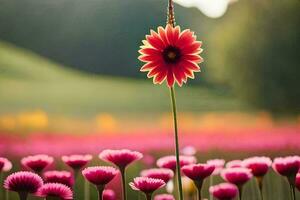 a single red flower stands out in a field of pink flowers. AI-Generated photo