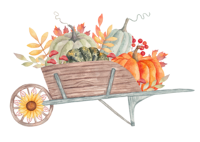 Wooden garden wheelbarrow with pumpkins and leaves, mushrooms and sunflower. Autumn composition for seasonal holidays and Thanksgiving. Harvest concept. Watercolor hand drawn isolated illustration. png