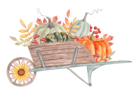 di legno giardino carriola con zucche e foglie, funghi e girasole. autunno composizione per di stagione vacanze e ringraziamento. raccogliere concetto. acquerello mano disegnato isolato illustrazione. png